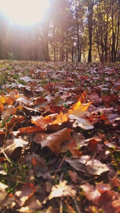 4 Tips to Transition Your Home Between Seasons