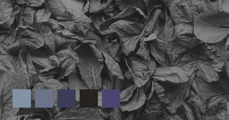 Lelystad, Netherlands