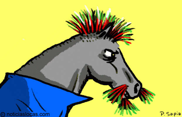 Peluquera crea diseños especiales para pelajes de caballos