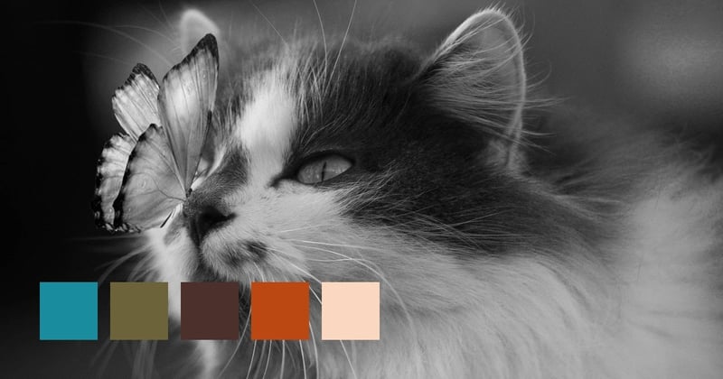 A Nose For The Unusual