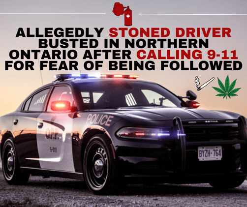 #23: BAT COUNTRY 🦇