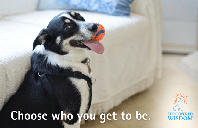 Choose Who You Get To Be