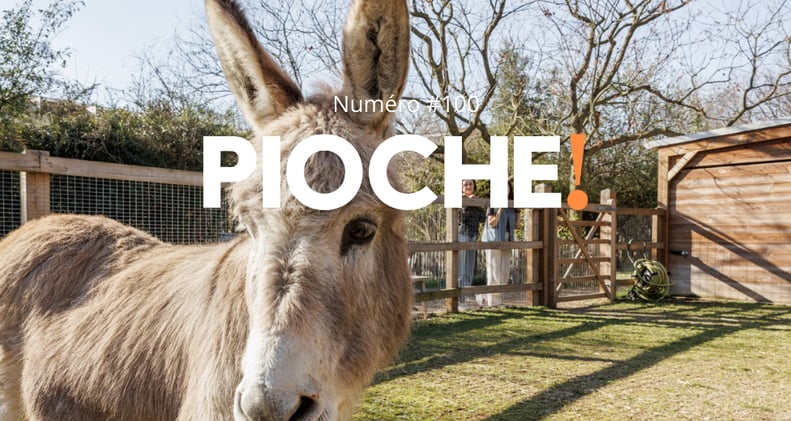 🌿 IA pas moyen | The Voice | Chicken Run | Jour E | Before Planet Parade #02  | Border Community...  