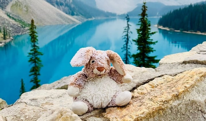 How a Lost Stuffed Bunny Became Banff’s Cutest Celebrity