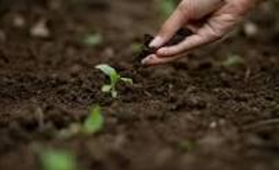 From Manure to Harvest