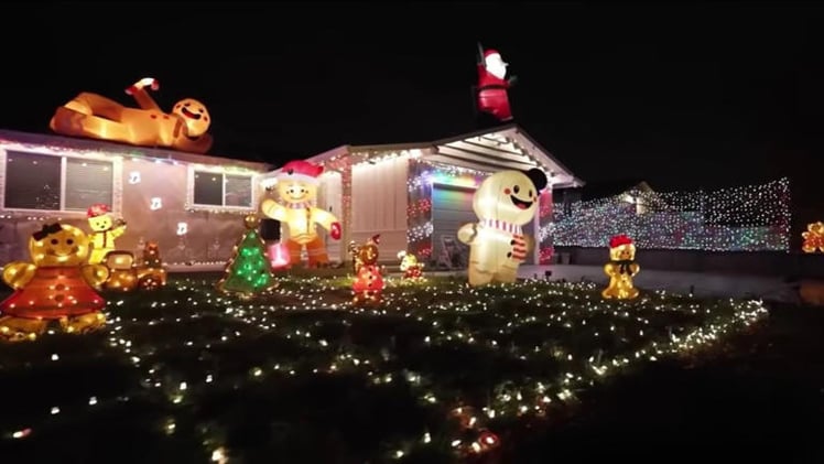 Salty Ginger Talk Newsletter