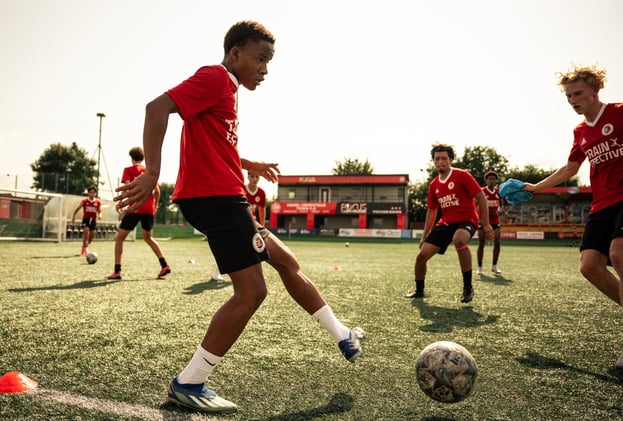 What Scouts Want to See