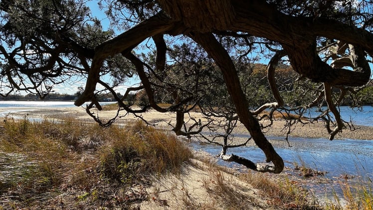 This Morning's Bulletin — 11.14.25