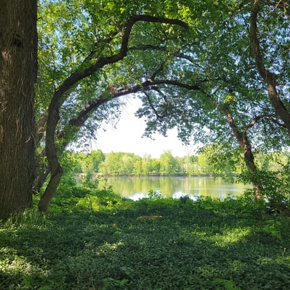 Calm Your Nervous System in 3 Easy Steps