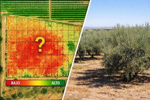 El NDVI cayó... y no pasó nada