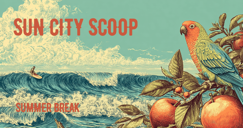 🏖️ Scoop Summer Break🍹