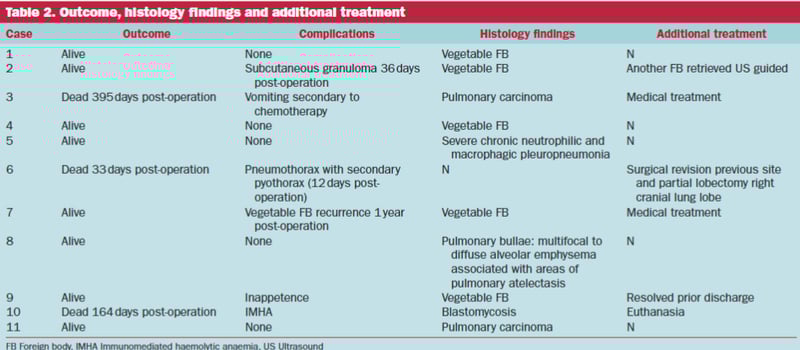 Accessory Lung Lobe Surgery Safe in Dogs: New Study Confirms Both Left and Right Approaches
