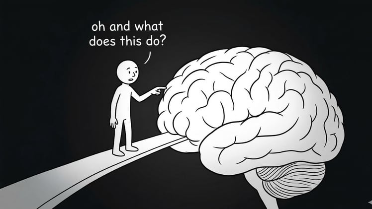 I Duplicated My Brain. 