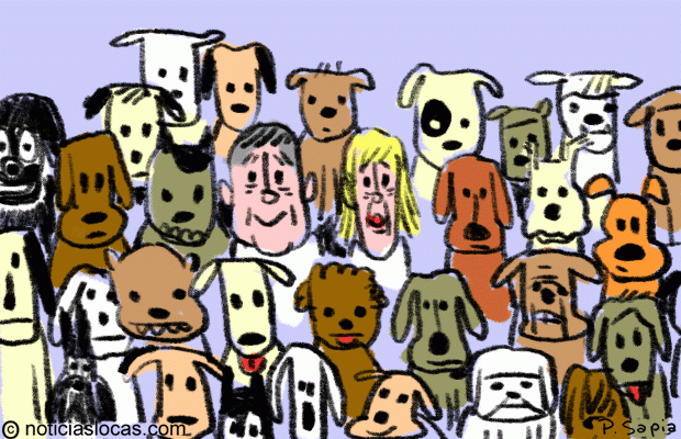Comparten su hogar con 41 perros