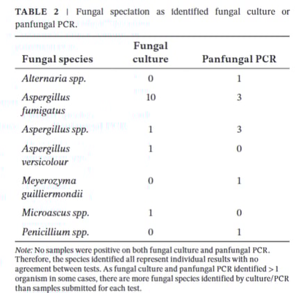 Sneezing Cats and Sinus Clues: UK Study Reveals Scope and Struggles of Feline Fungal Rhinosinusitis