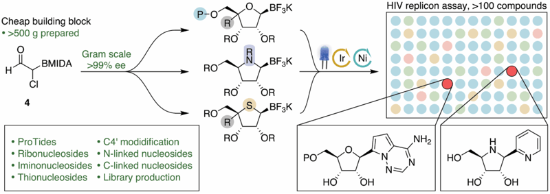 A Faster Way to Antivirals