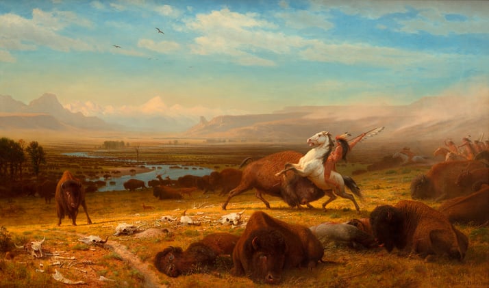 How The Tribes Used The Buffalo