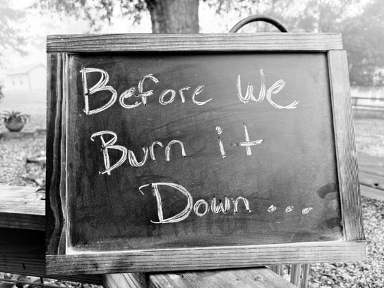 Before We Burn It Down...