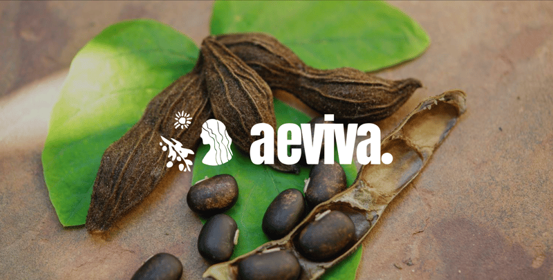 Boosting Dopamine or Playing with Fire? The Hidden Parkinson’s Drug in Herbal Pills