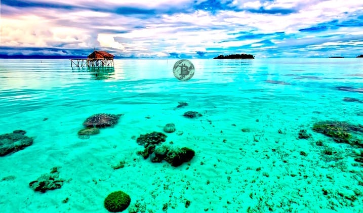 Bitcoin Trading Volume Surges in Indonesia After Country Officially Recognizes Crypto as Commodities
