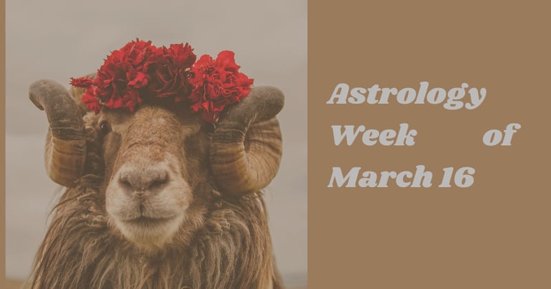 Week of March 16