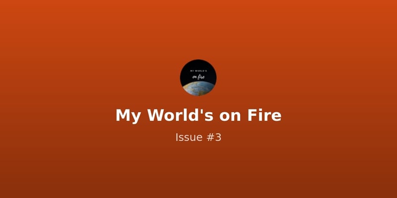 'It changed our classification of what a disaster is'