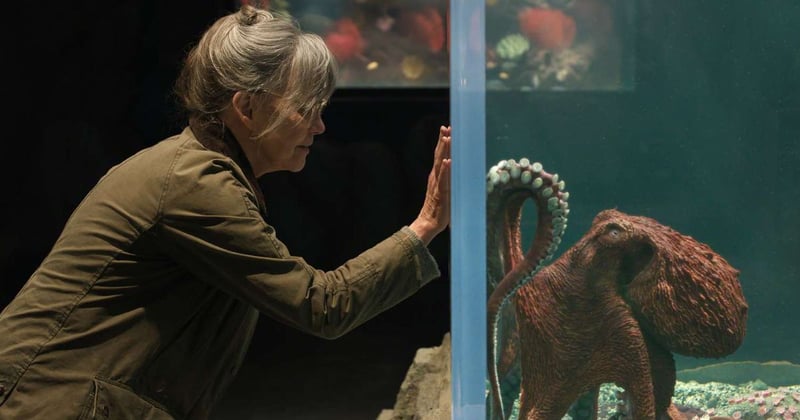 Nova temporada de Rick and Morty e Sally Field faz amizade com polvo