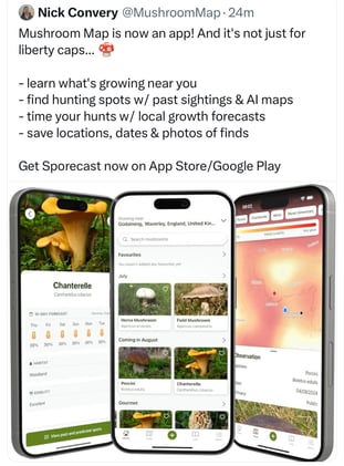 Where to Find Mushrooms