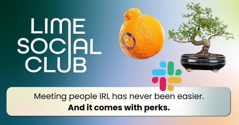 The Annual Look into Sumo Oranges