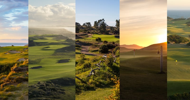 More Glowing Reviews for Bandon, Sigh