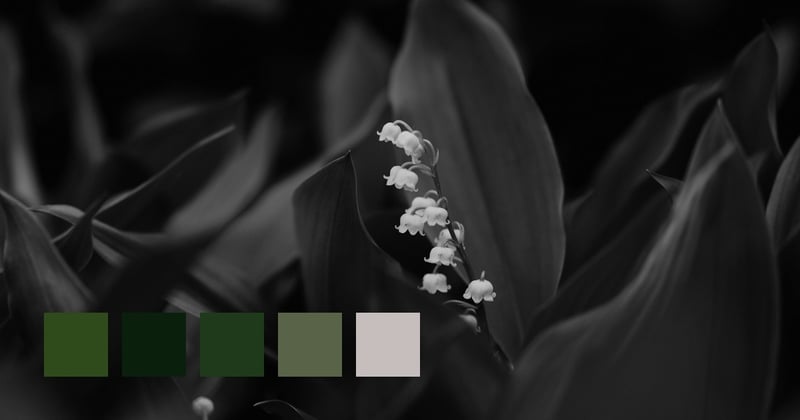 A Focal Point In Photography