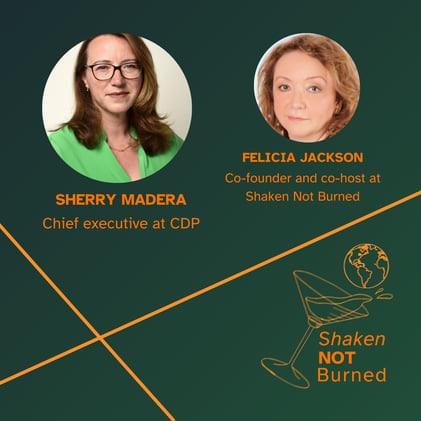 Developing corporate strategy in an unstable world with CDP