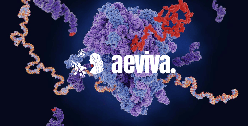 Plant vs. Animal Protein: Which Is Better for Longevity? 