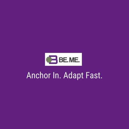 Anchor In. Adapt Fast.