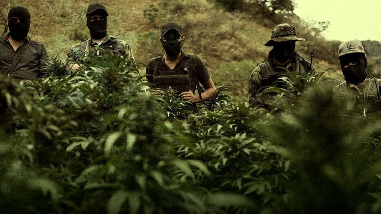 ⭐ DAILY SIGNAL #62