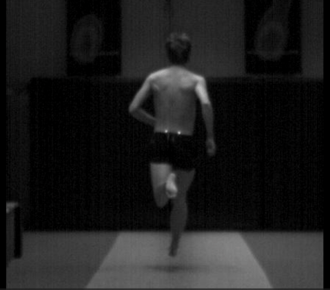 JONAS GLANS LÖPARBREV