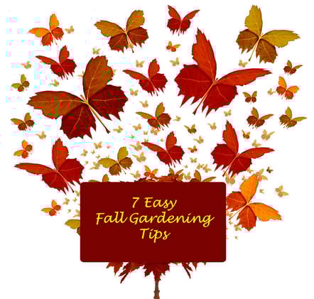 FALL Gardening...or Wait until SPRING❓🍁🦋