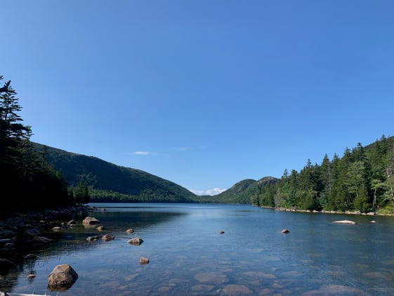 Coming Out of the Woods