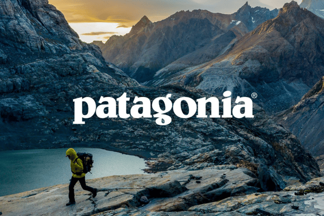 Patagonia Paving the Way for a Greener Future in Business
