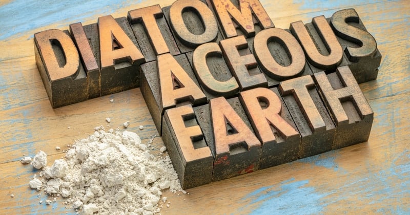 Diatomaceous Earth