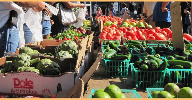 🍉 Farmers Market, Jaws 50th Anniversary & More | This Week in Cheyenne 
