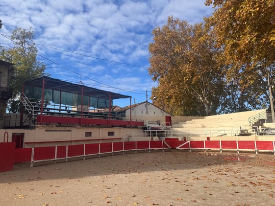 Un viaje al corazón de la Camarga