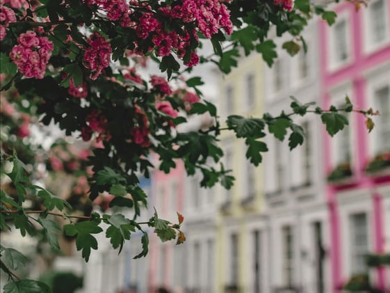 When Might an Interim Charging Order Become Final Following an Intervening Insolvency?