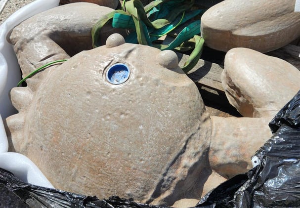 Newsport Alert Tuesday 12 August 2025