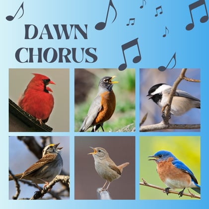 👉Things to Do This Weekend