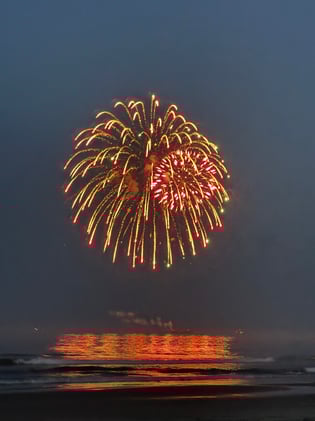 The Perfect Potluck Pulled Pork