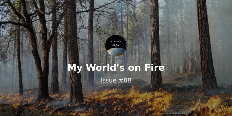 Demystifying prescribed burns