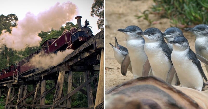 Make a day of it: The best excursions a short drive from Melbourne’s east