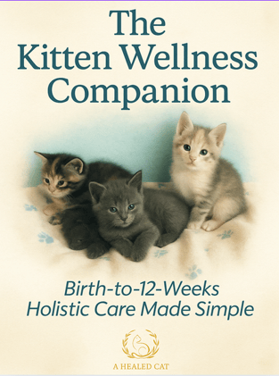New Kitten EBook & Website!