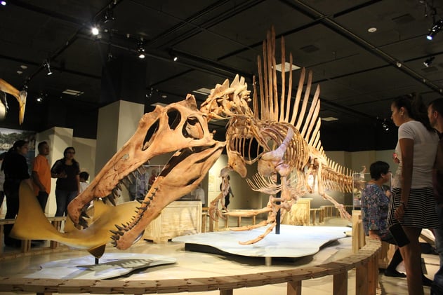 A Swimming Dinosaur, a Cosmic Time-Lapse, and the Mammoth's Return?